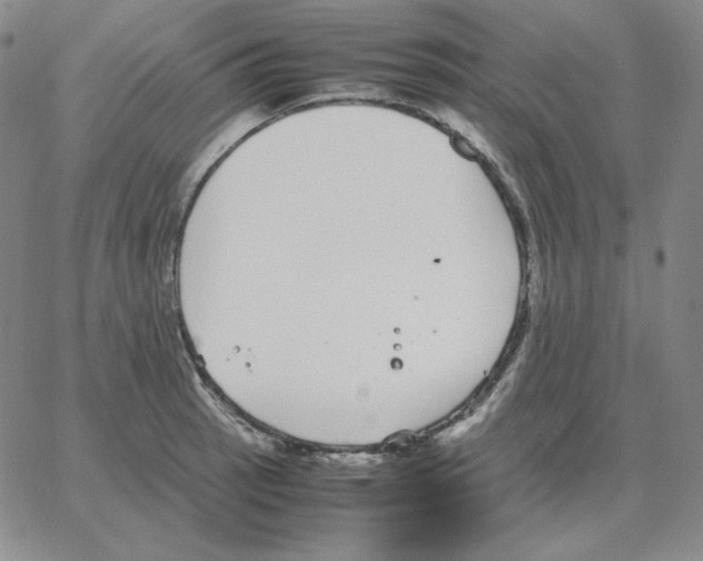 X0000064771137200603131427