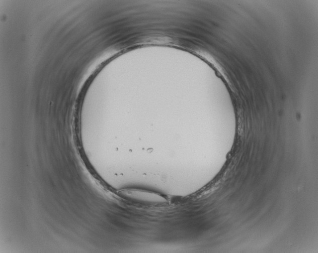 X0000064771139200603131427