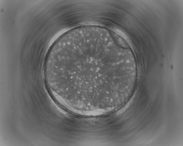 X0000064771141200603131427