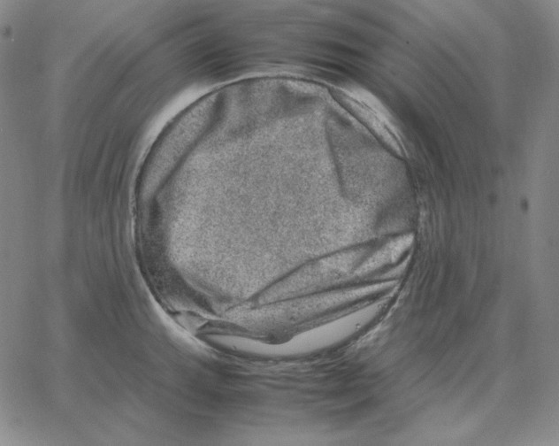 X0000064771143200603131427