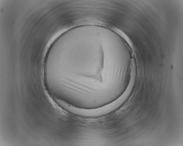 X0000064771144200603131427