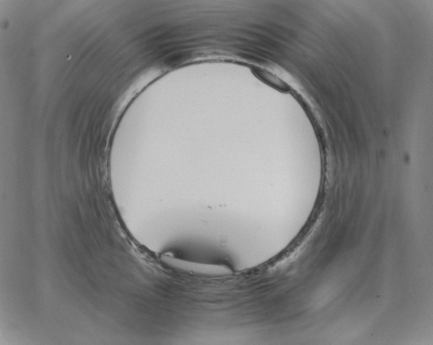 X0000064771145200603131427