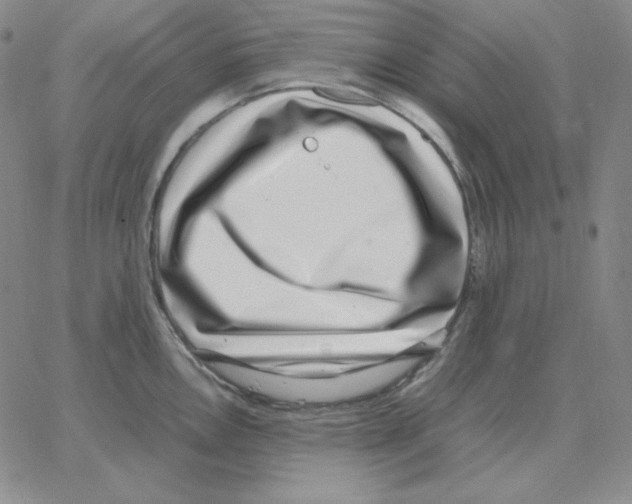 X0000064771146200603131427