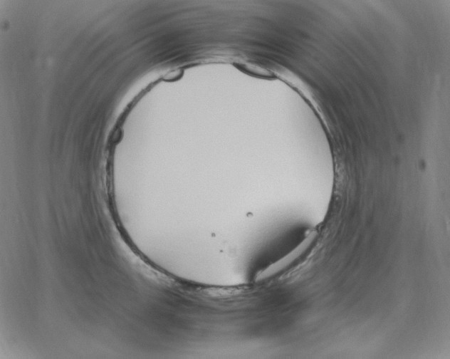 X0000064771147200603131427