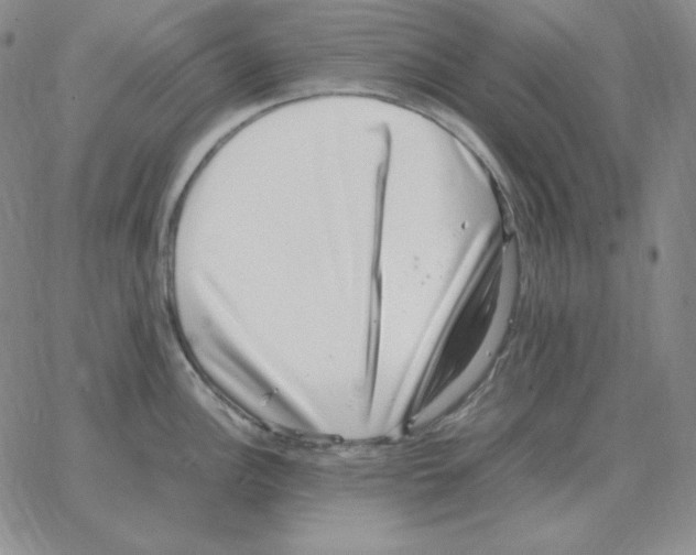 X0000064771148200603131427