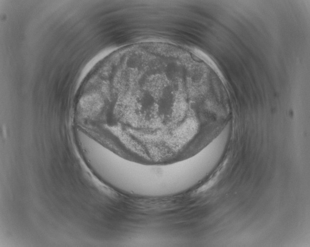 X0000064771149200603131427