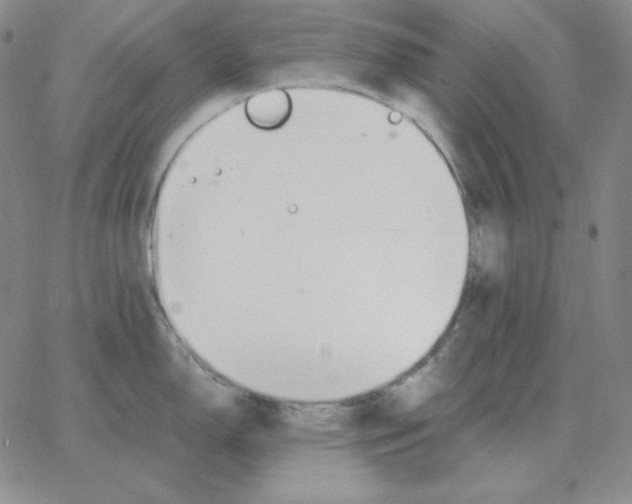 X0000064771150200603131427