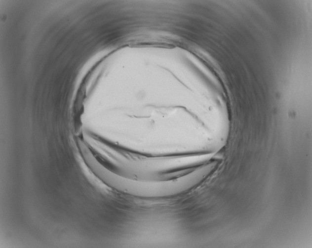 X0000064771152200603131427