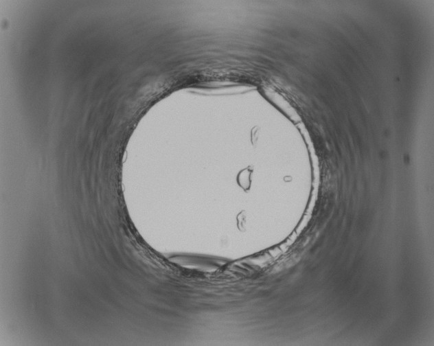 X0000064771153200603131426