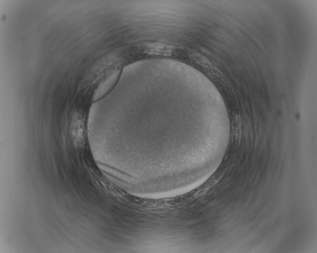 X0000064771154200603131426