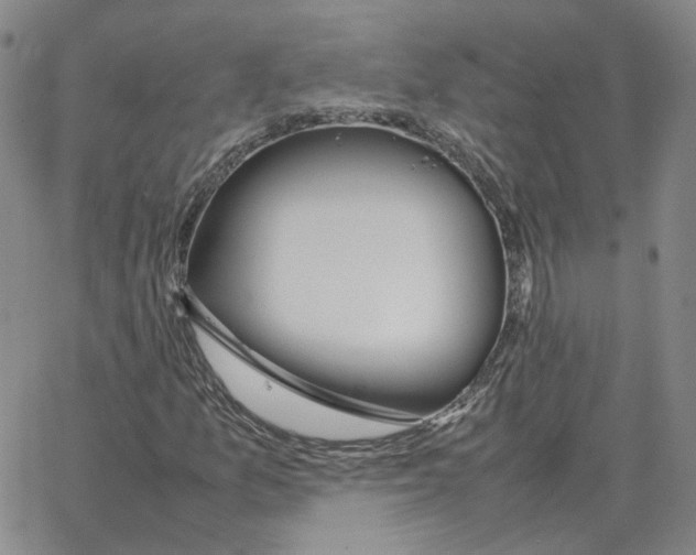 X0000064771157200603131426