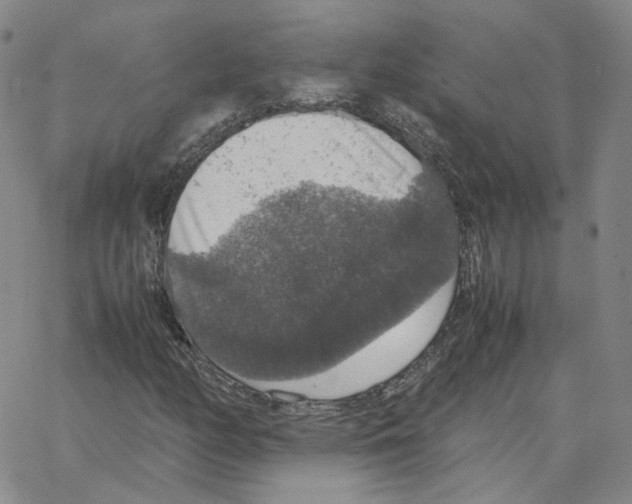 X0000064771158200603131426