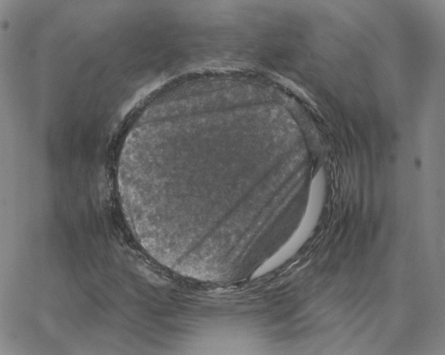 X0000064771160200603131426