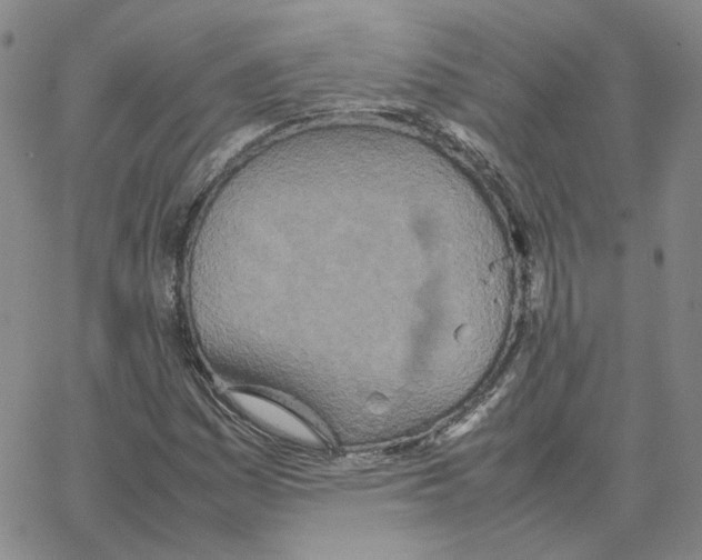 X0000064771161200603131426