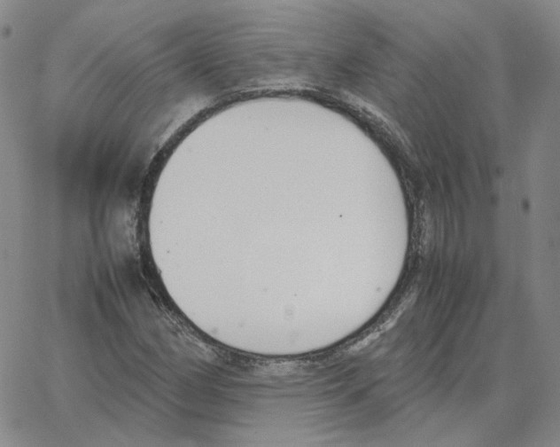 X0000064771162200603131426