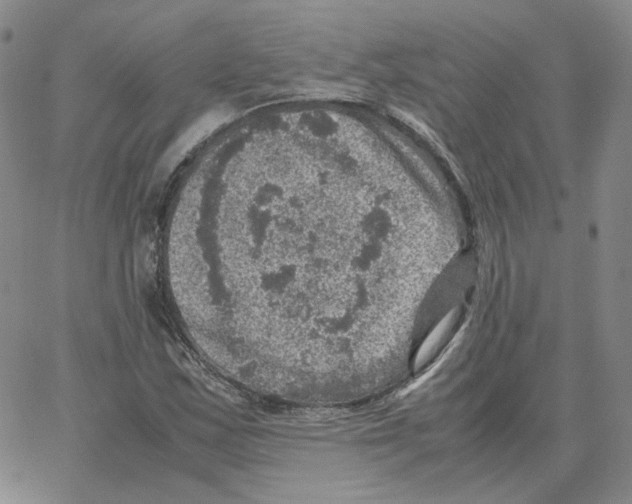 X0000064771163200603131426