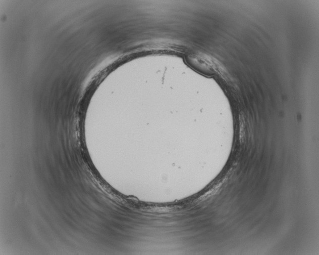 X0000064771164200603131426