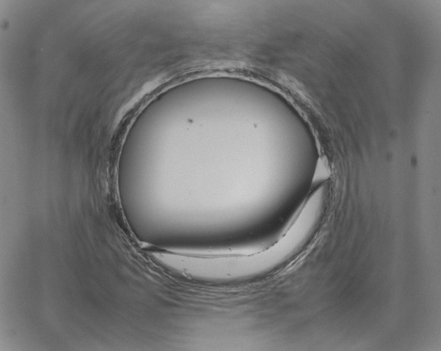 X0000064771165200603131426