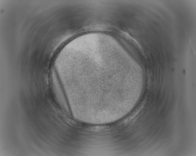 X0000064771166200603131426