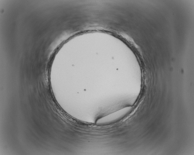 X0000064771167200603131426