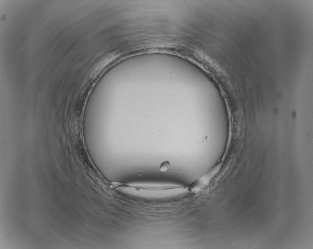 X0000064771169200603131426