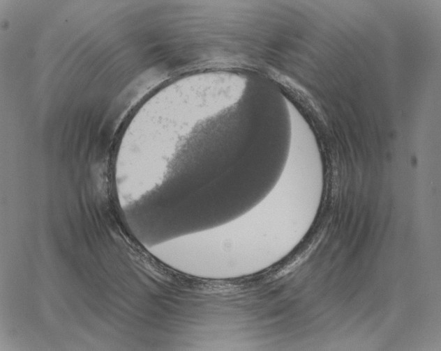 X0000064771170200603131426