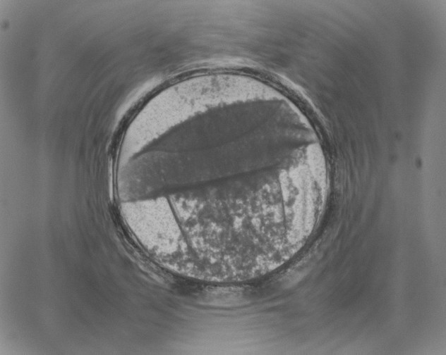 X0000064771171200603131426