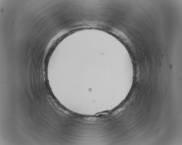 X0000064771172200603131426