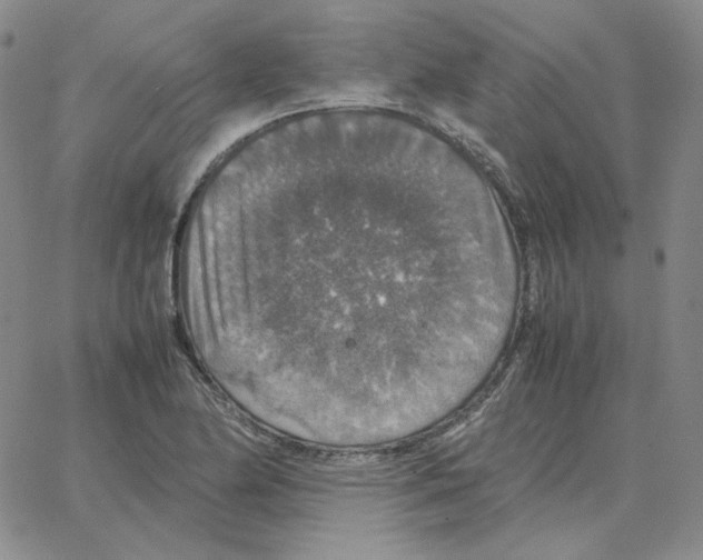 X0000064771174200603131426