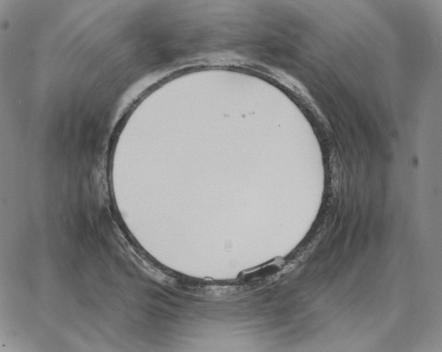 X0000064771176200603131426