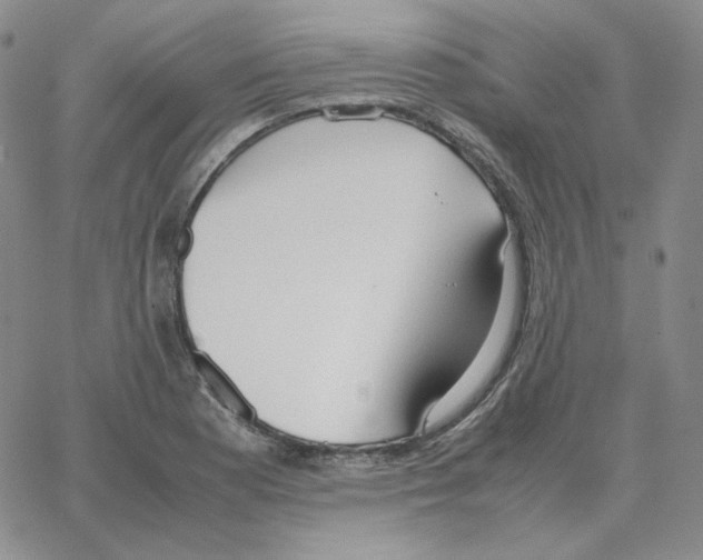 X0000064771177200603131426