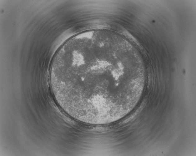 X0000064771178200603131426