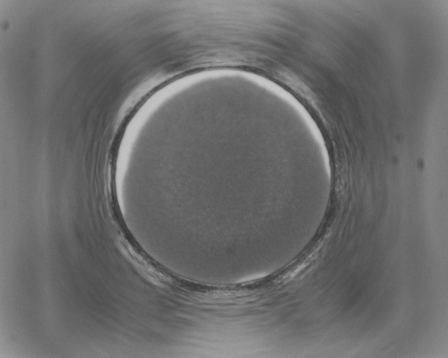 X0000064771179200603131426