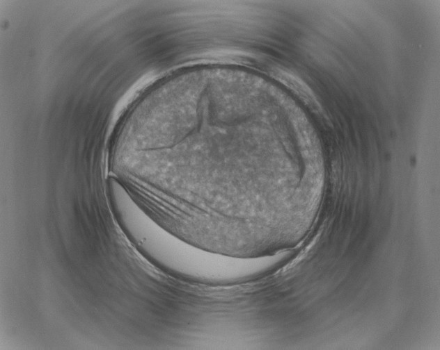 X0000064771180200603131426