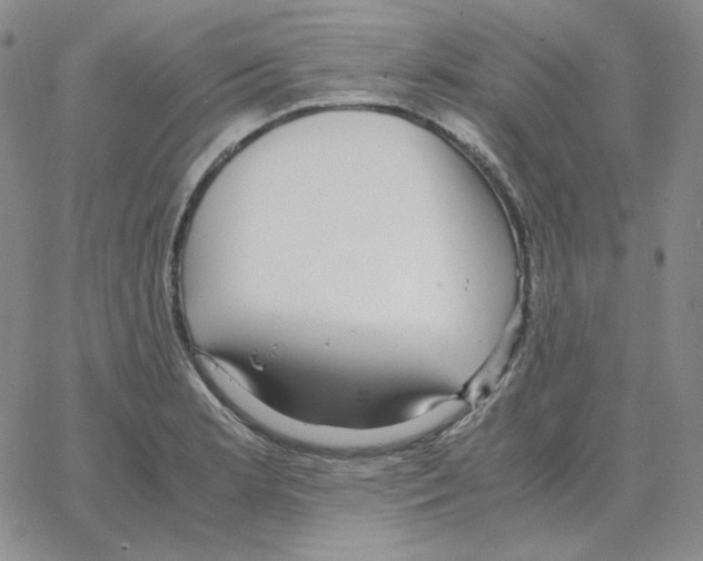 X0000064771181200603131426