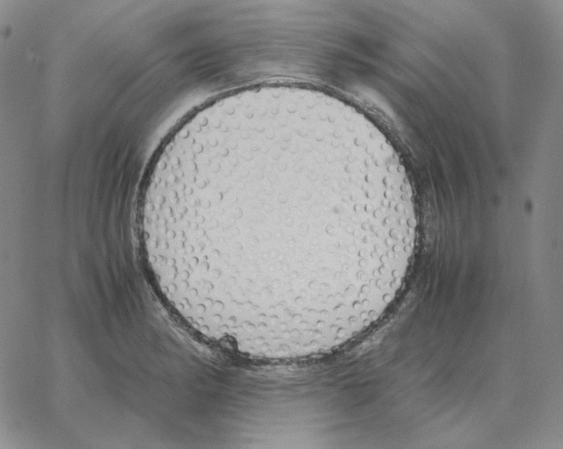 X0000064771182200603131426