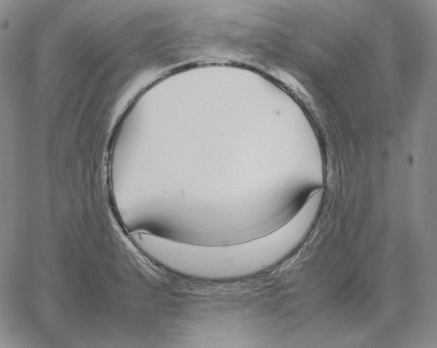 X0000064771183200603131426