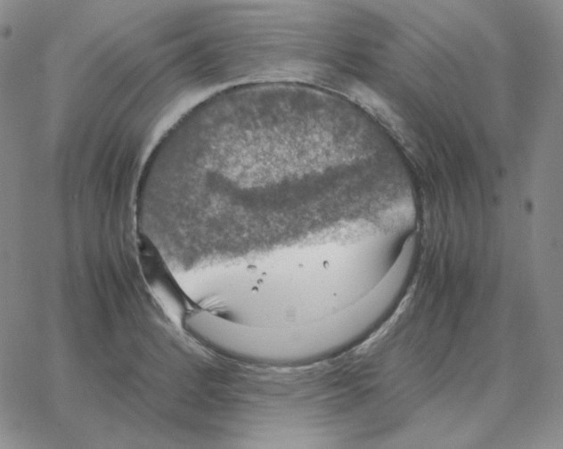 X0000064771184200603131426