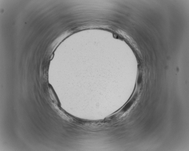 X0000064771185200603131426