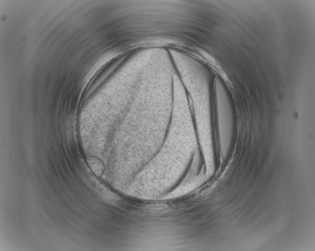 X0000064771186200603131426