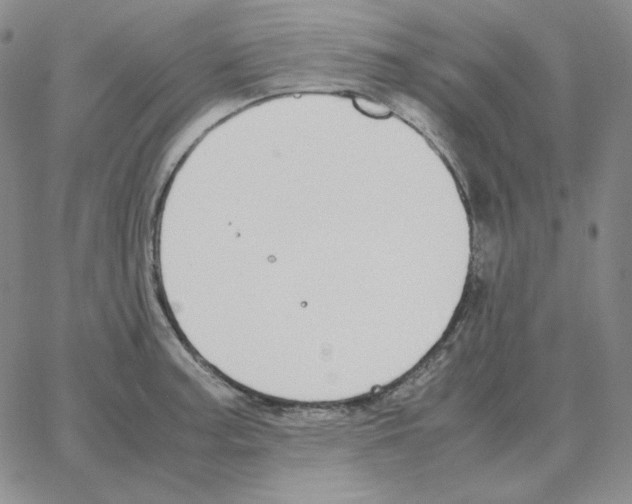 X0000064771187200603131426