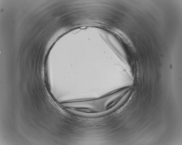 X0000064771188200603131426