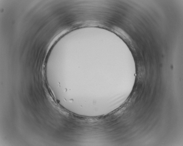 X0000064771190200603131426