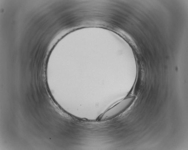 X0000064771192200603131426