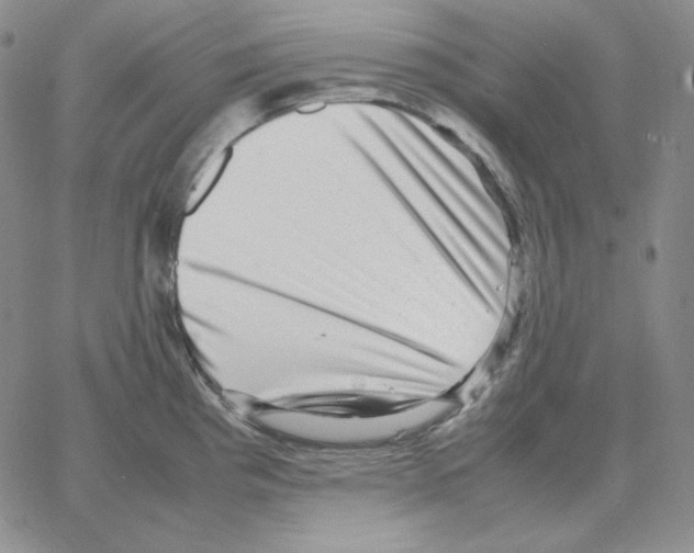 X0000064771193200603131426