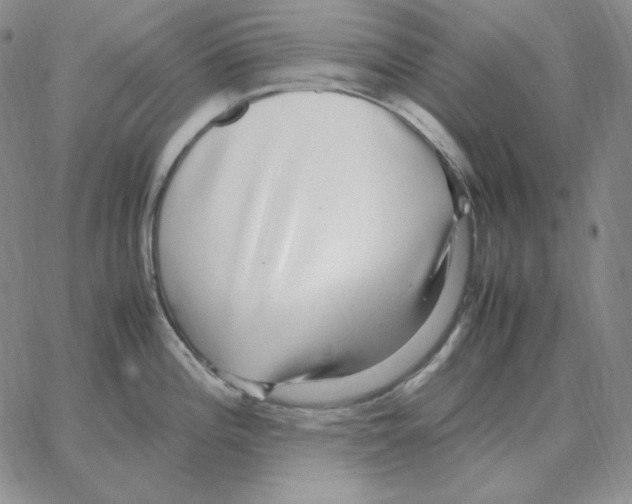 X0000064771196200603131426