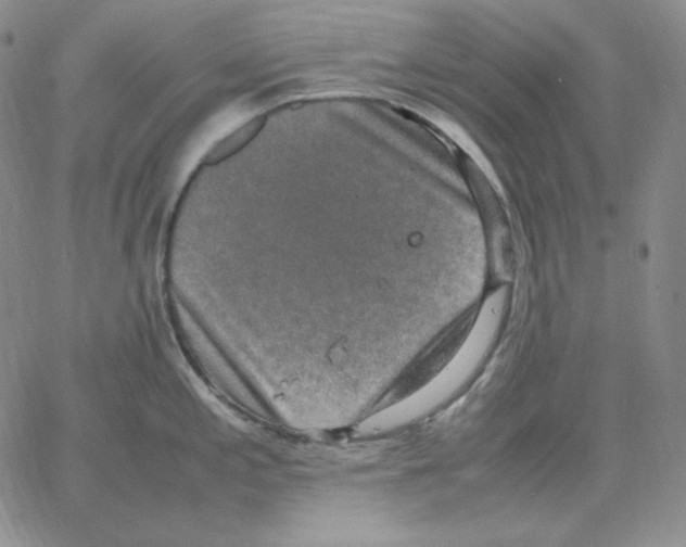 X0000064771197200603131426