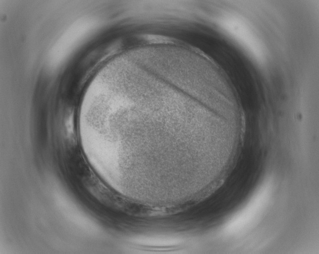 X0000064771198200603131426