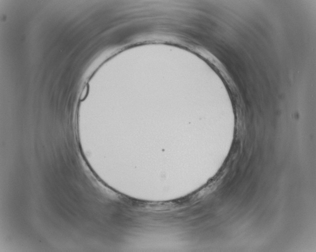 X0000064771199200603131426