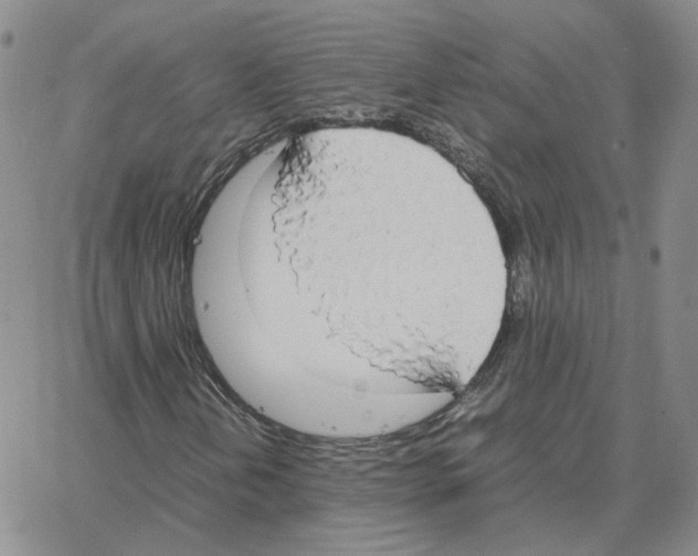 X0000064771202200603131425